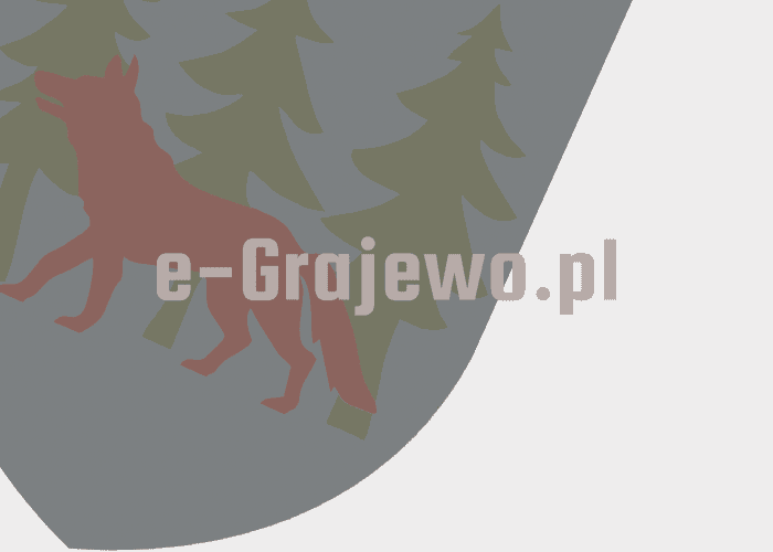 Grajewo ogłoszenia: Sprzedam działki mieszkaniowe w miejscowości Szymany - 5 km od...